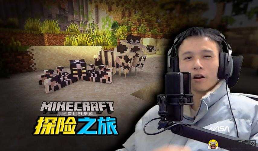 暴躁老外玩 Minecraft 之疯狂冒险之旅