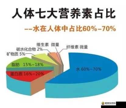 没带罩子让他吃了一天会怎么样-后续会产生怎样的不良影响和后果呢